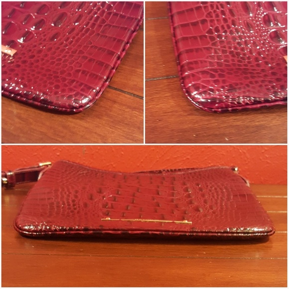 Brahmin Jody - Picture 6 of 8